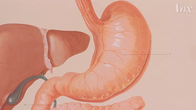 1748503951620117.gif 5.gif