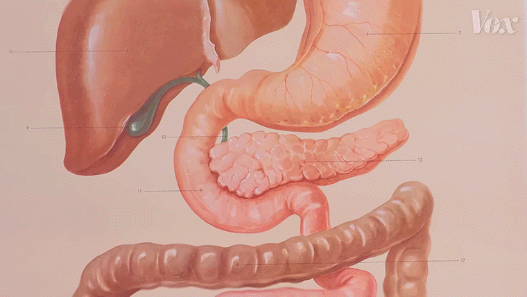 1748504506701691.gif 3.gif